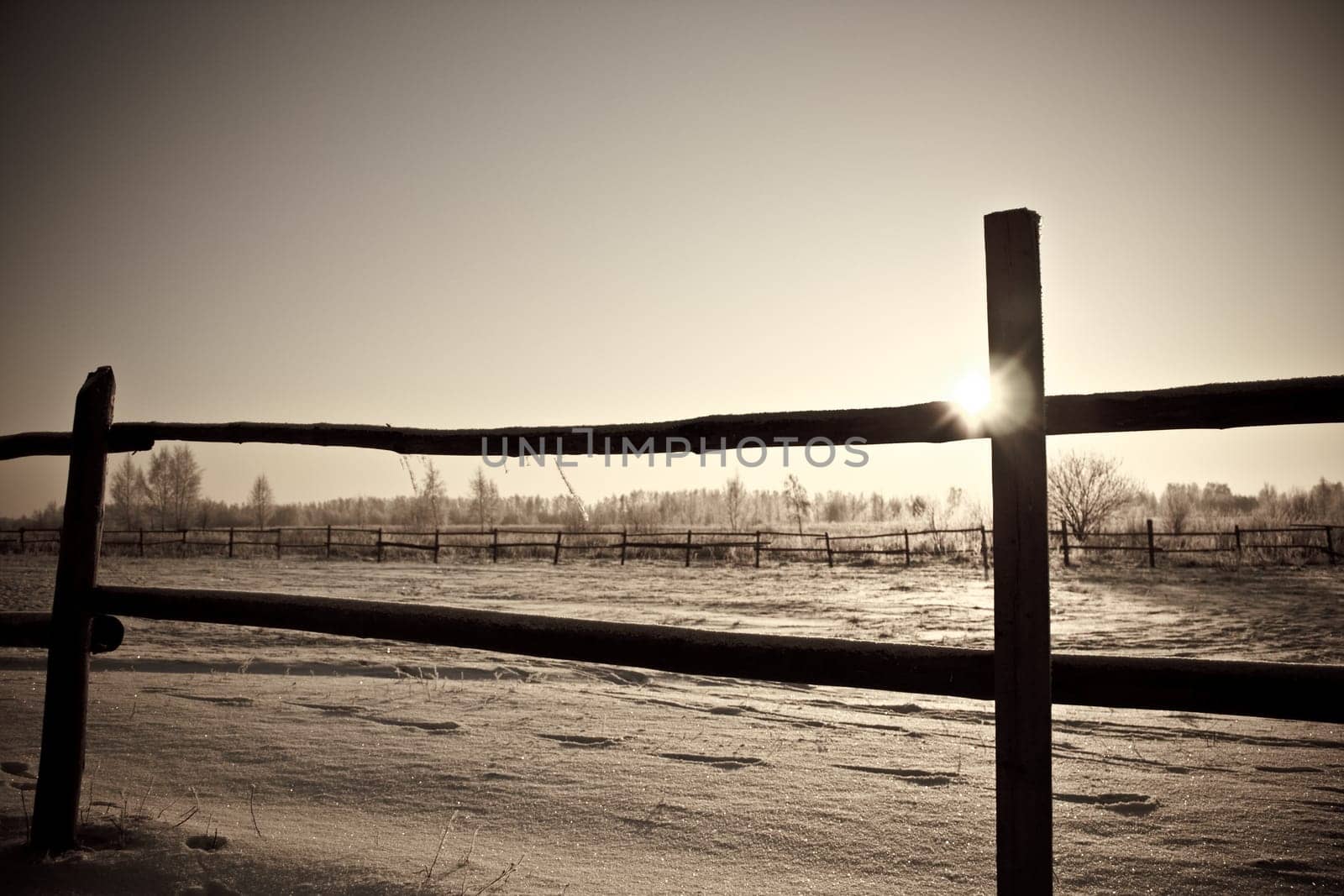 black and white old photo of the farm wooden fence in winter