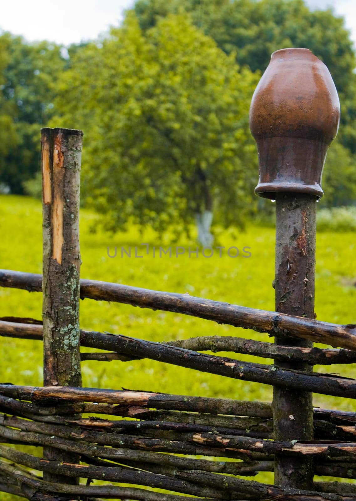 pot on wooden farm fence with grass and tree in background
