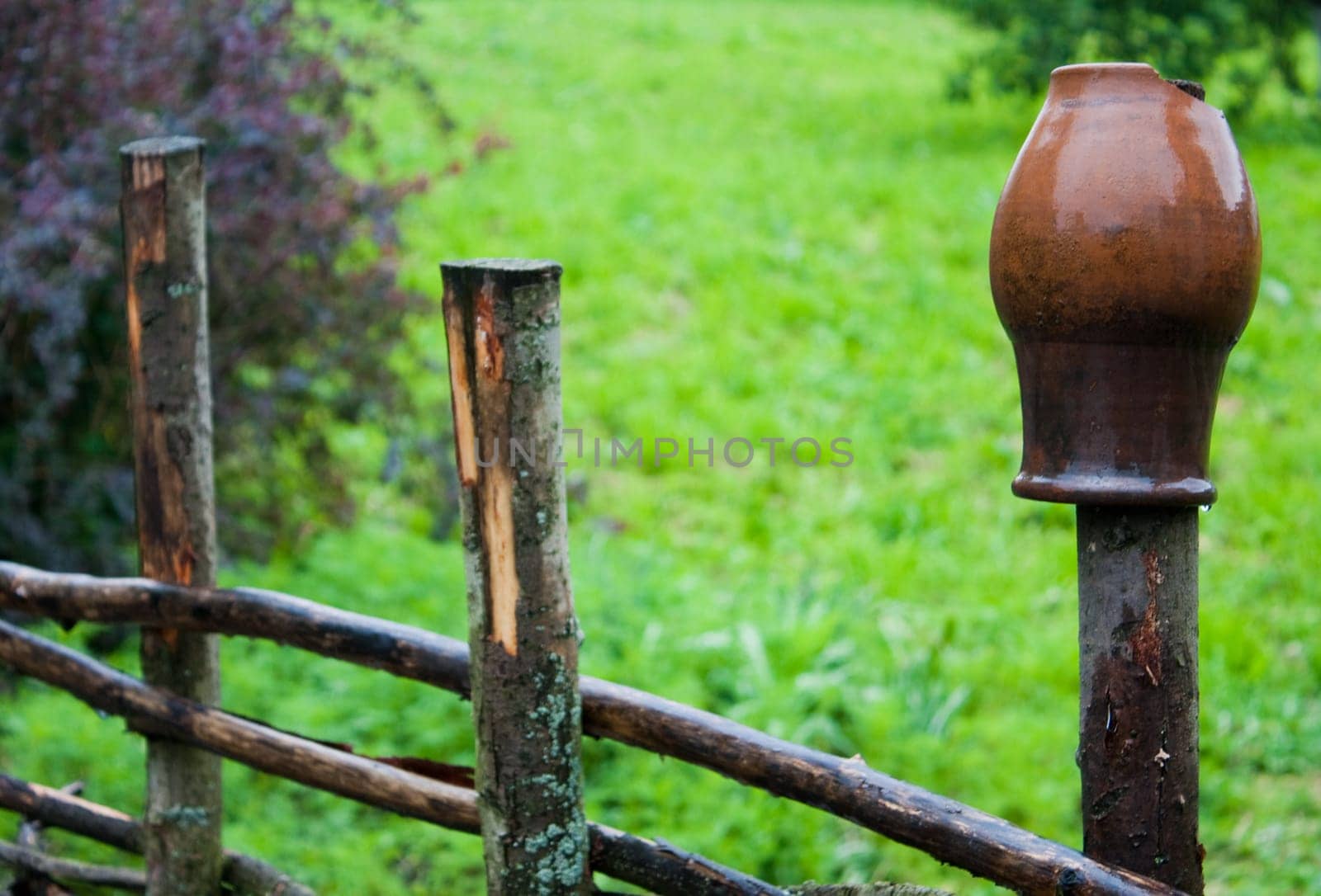 pot on wooden farm fence with green grass and tree in background