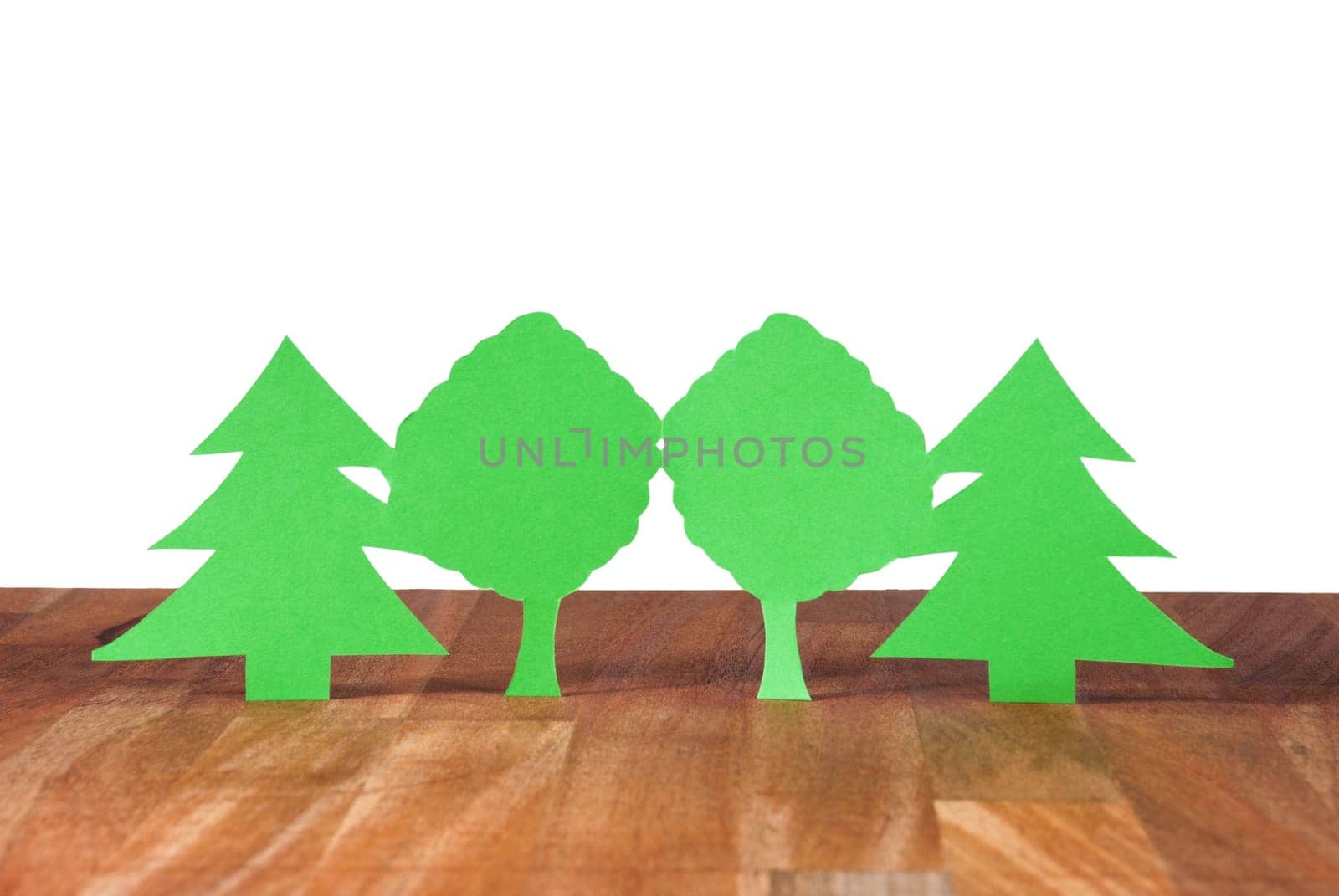 some trees symbolizing wood and forest on a wooden plank, isolated