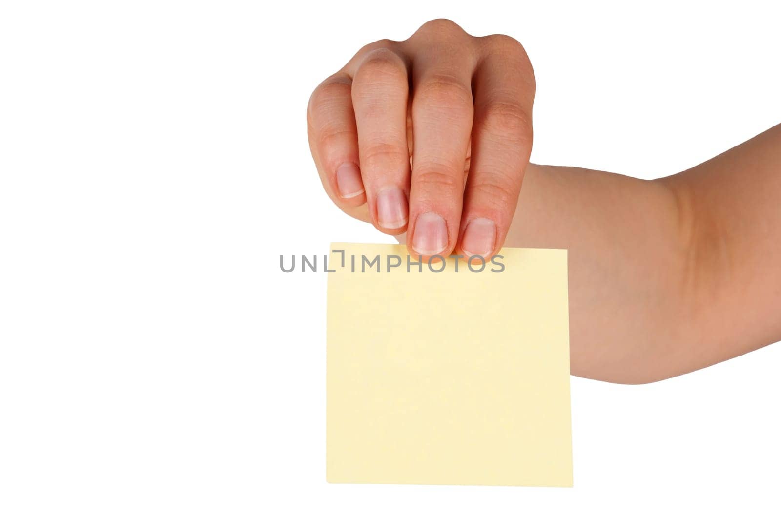 a hand holds a label with copy space on it, isolated