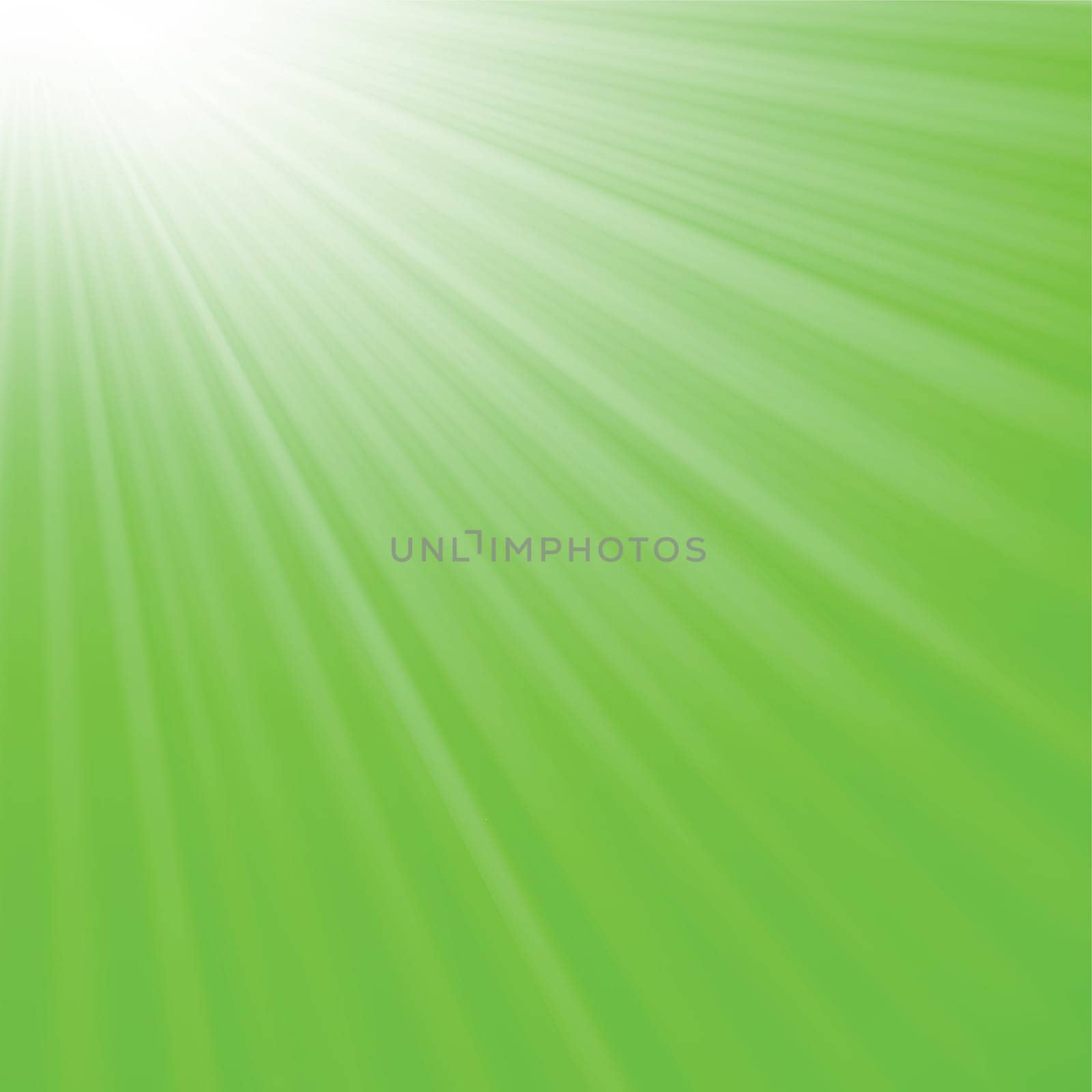 colorful illustration with  green abstract background for your design