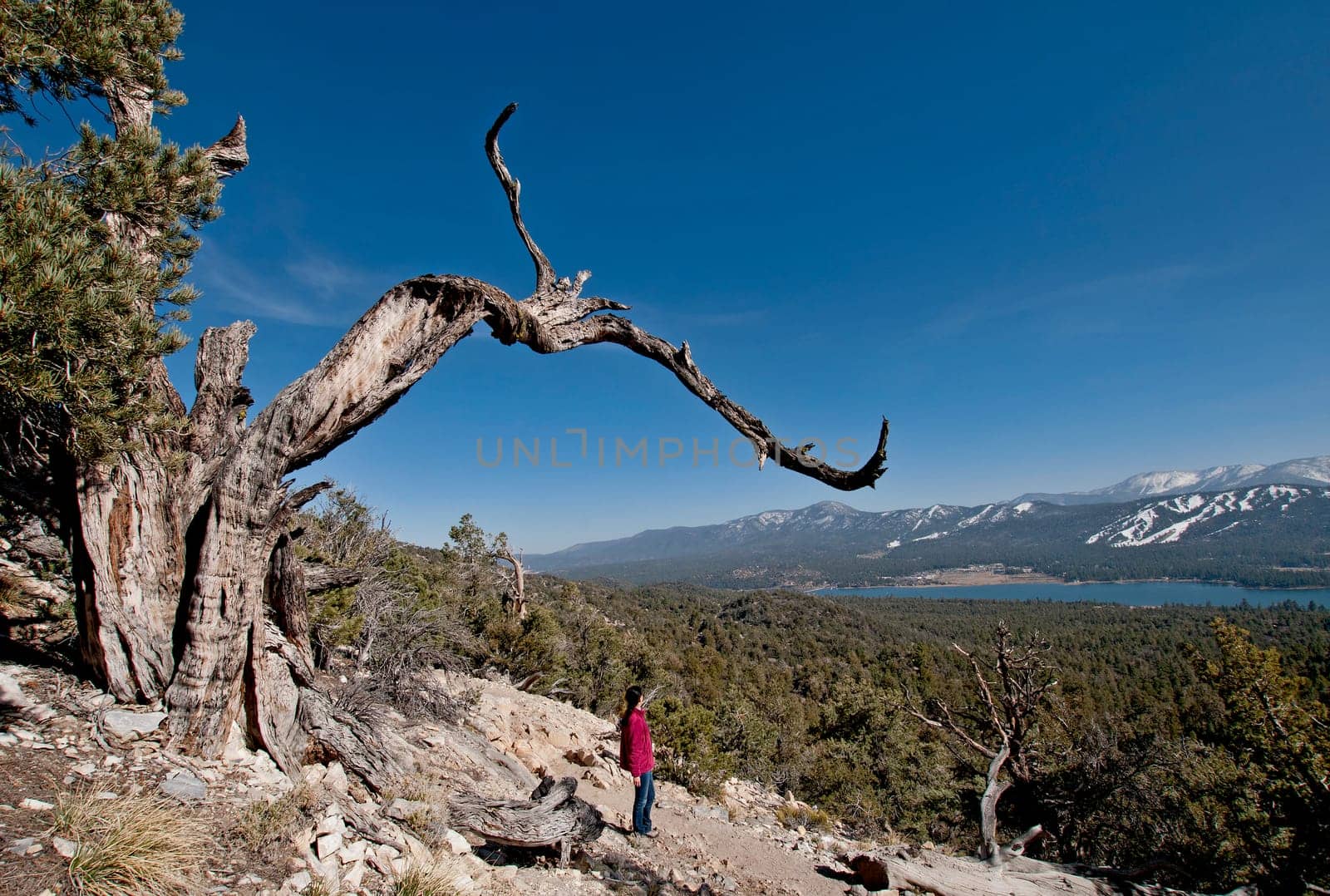 Big Bear Lake,California