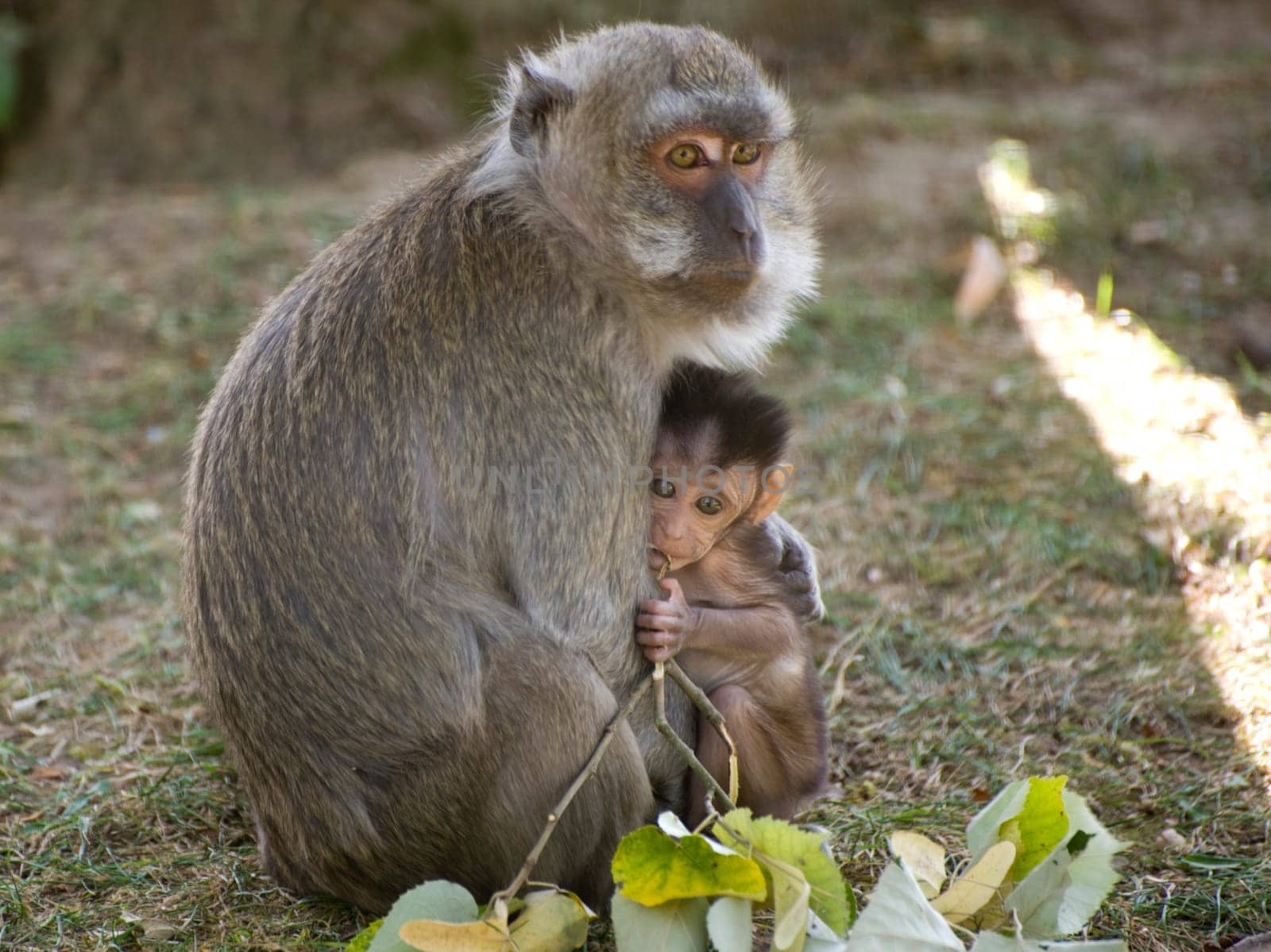Doting love