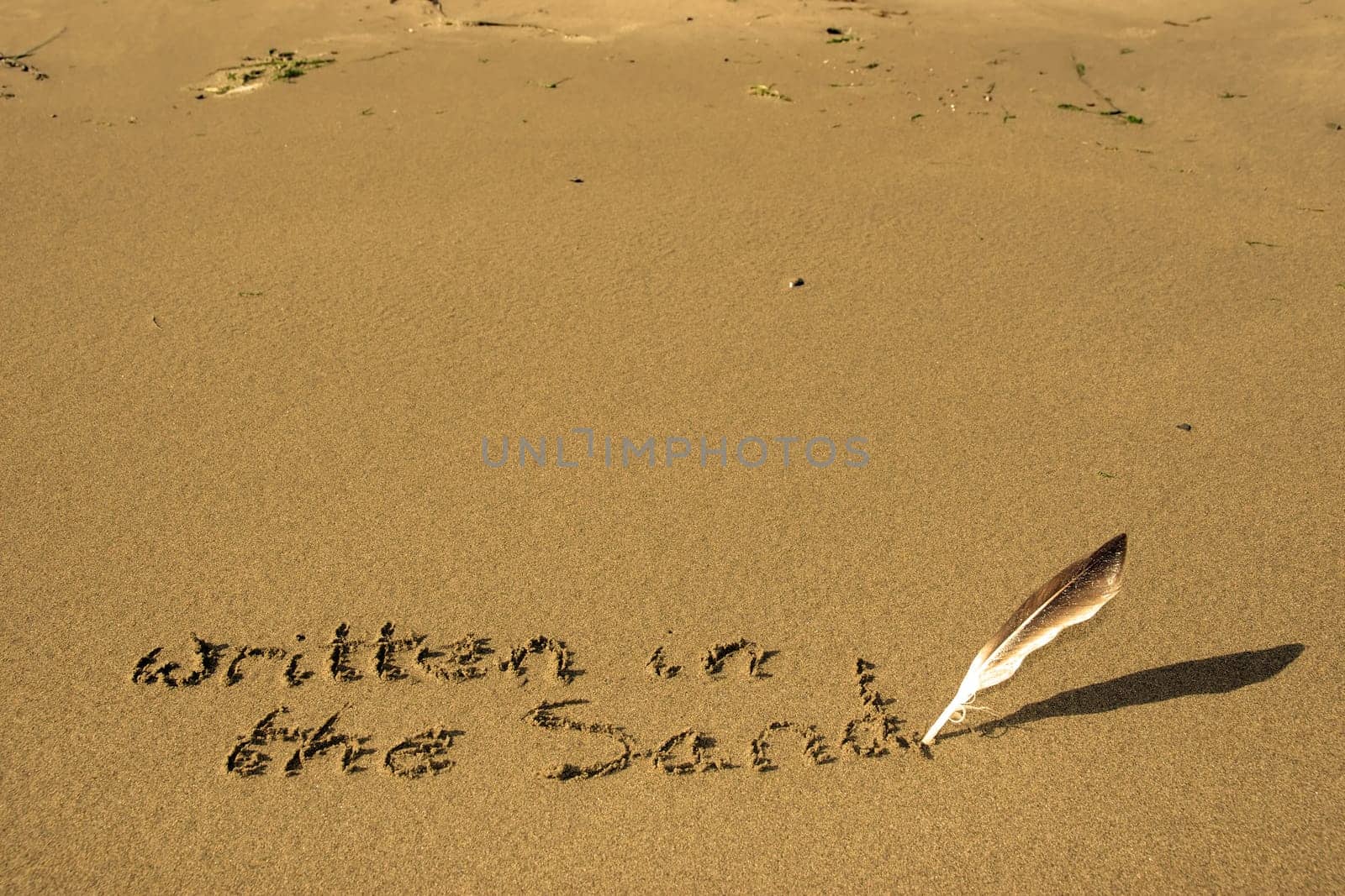 a feather used as a quill pen to write written in the sand