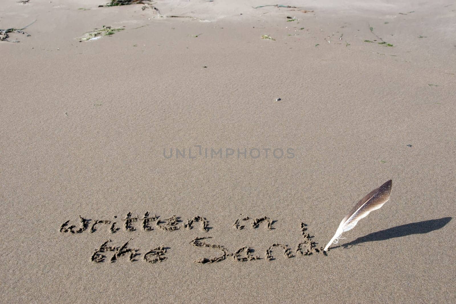 a feather used as a quill pen to write written in the sand
