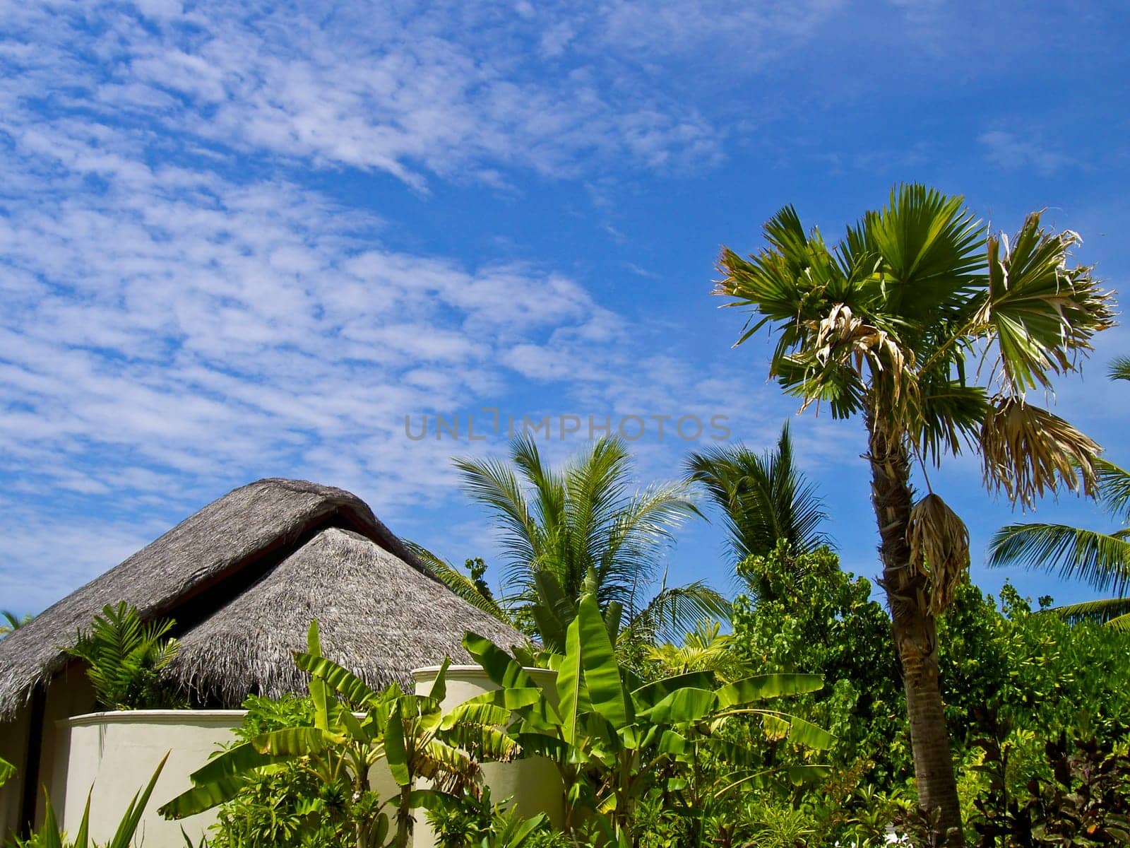 photo of the tropical island with maldivian bungalow