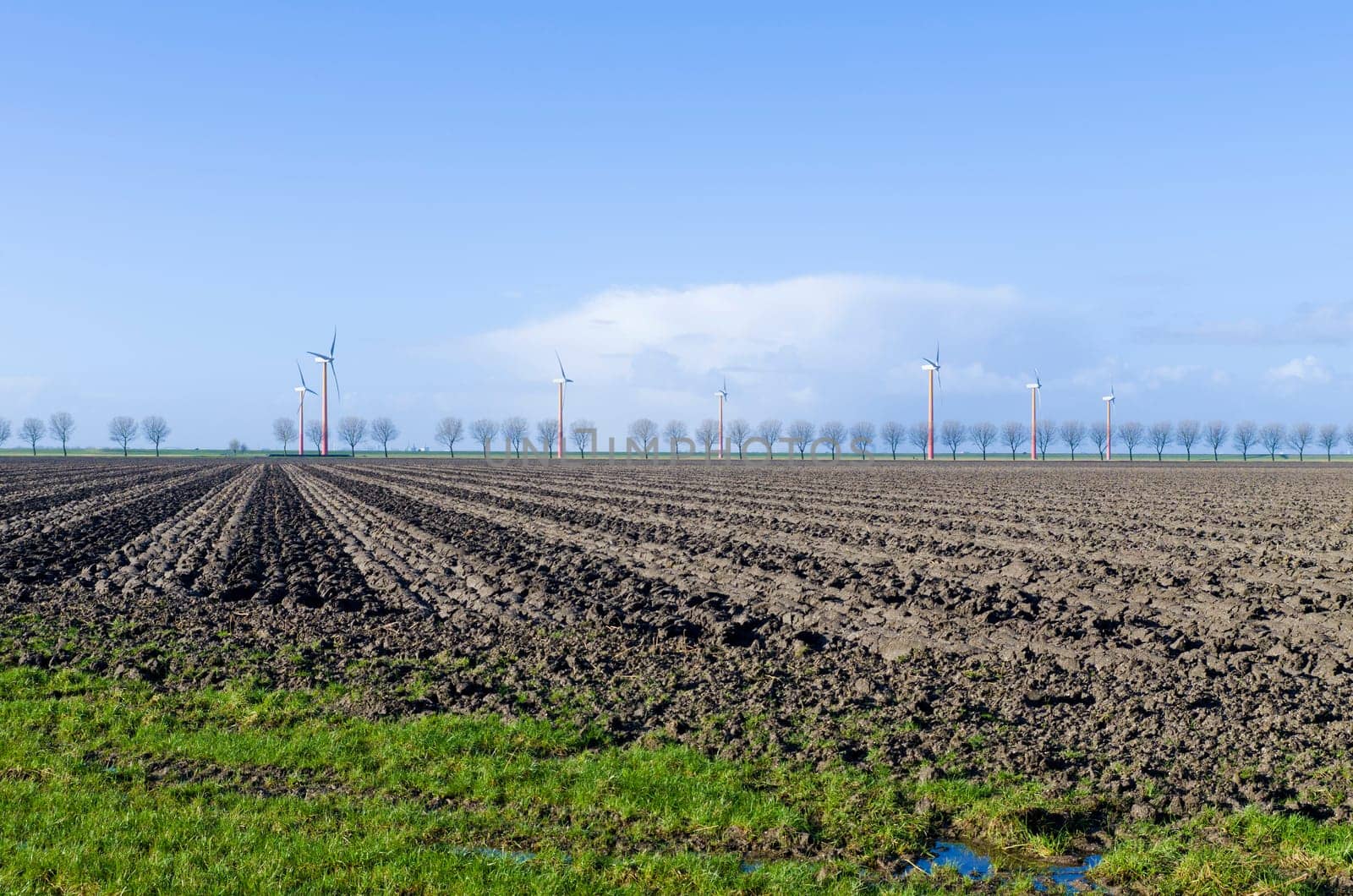 plowed field with a windmill farm in the background in Almere, Netherlands