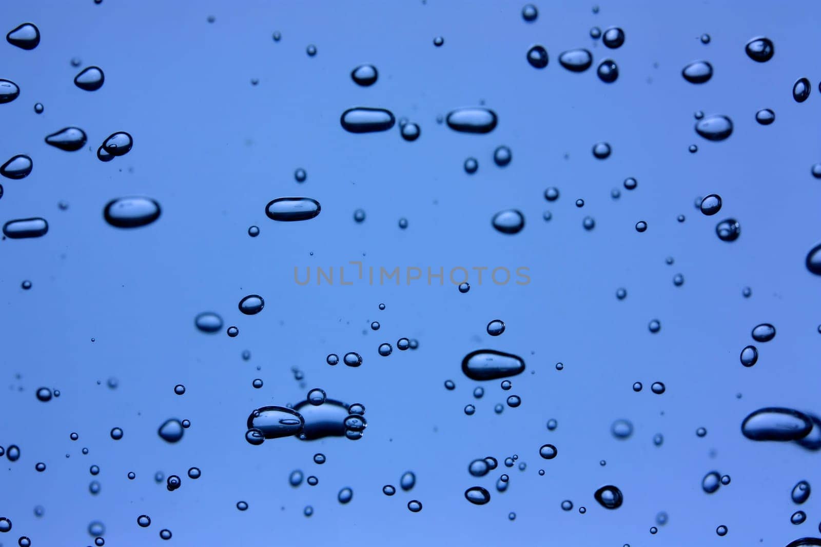 Bubbles on a blue background