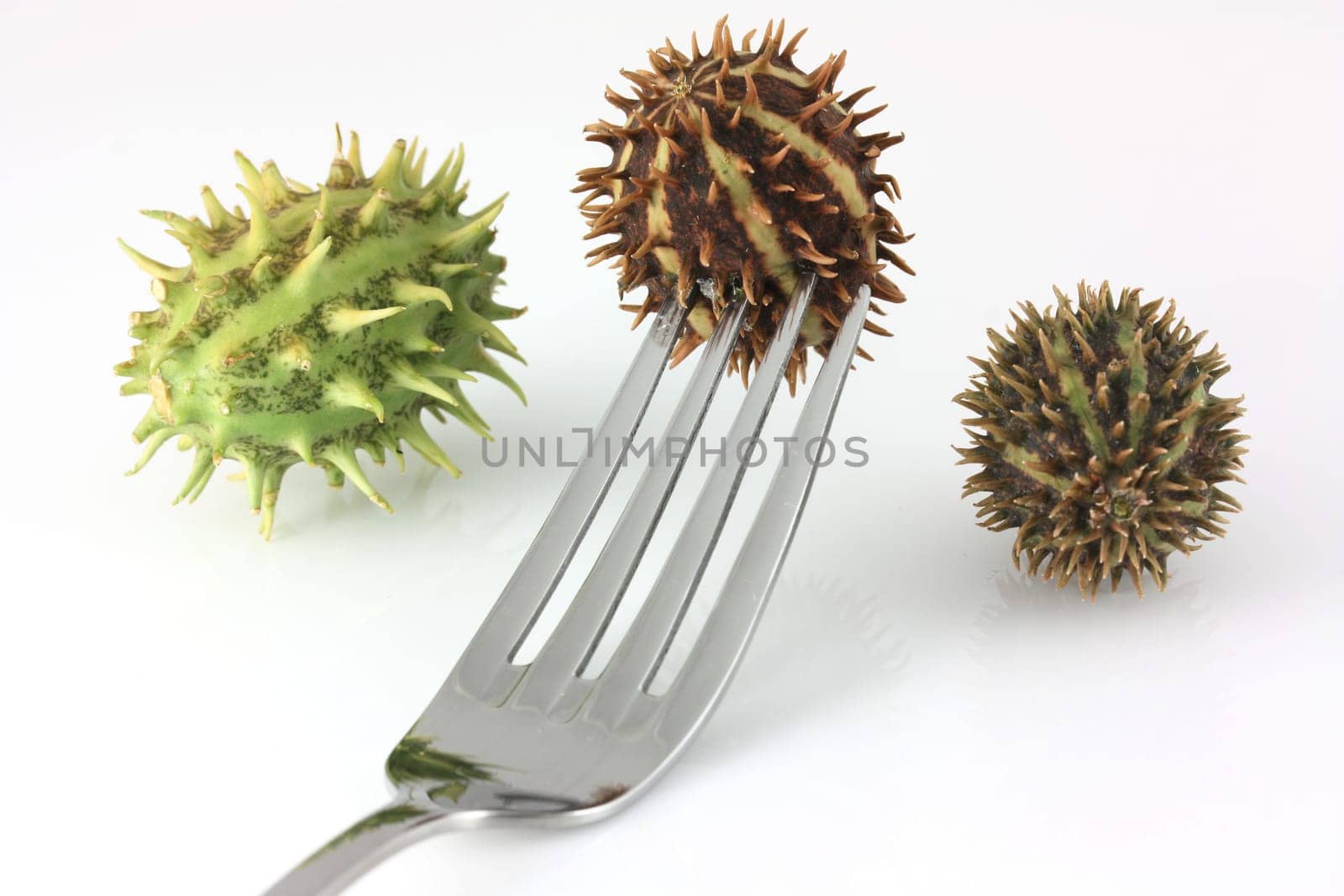 Spikey fruit on a fork