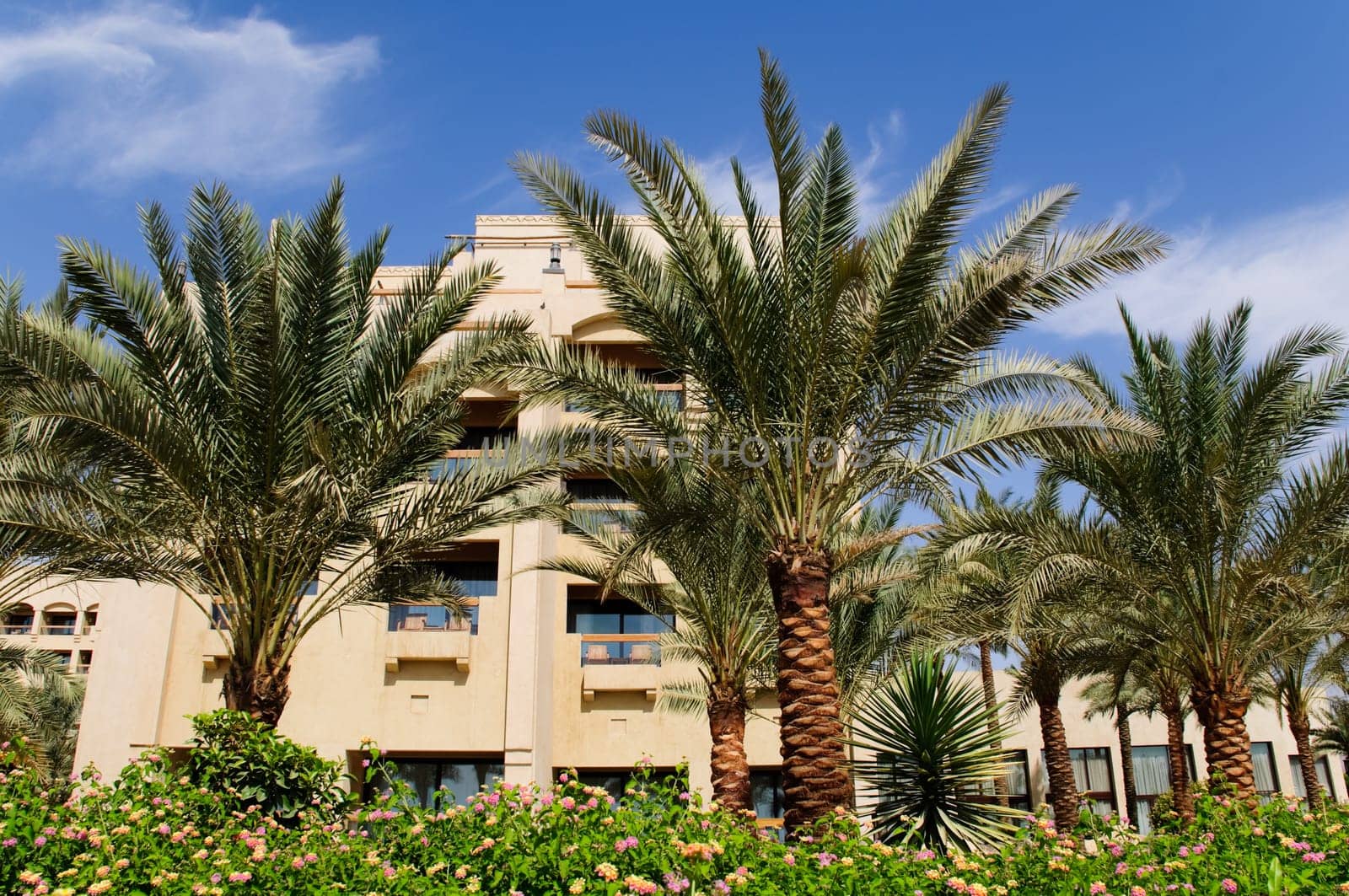 hotel building with blue cloudy sky in background and palm trees in foreground