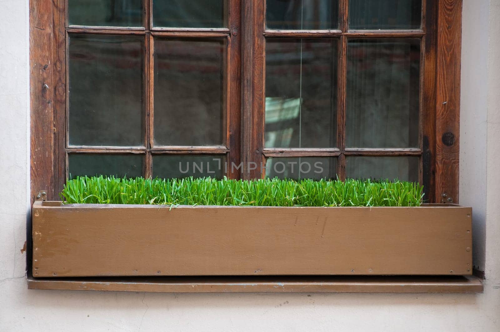 beautiful old window with green grass planted in box beneath it