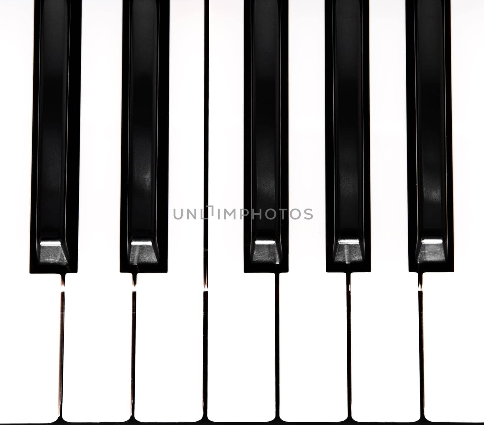 close up photo of the piano keys