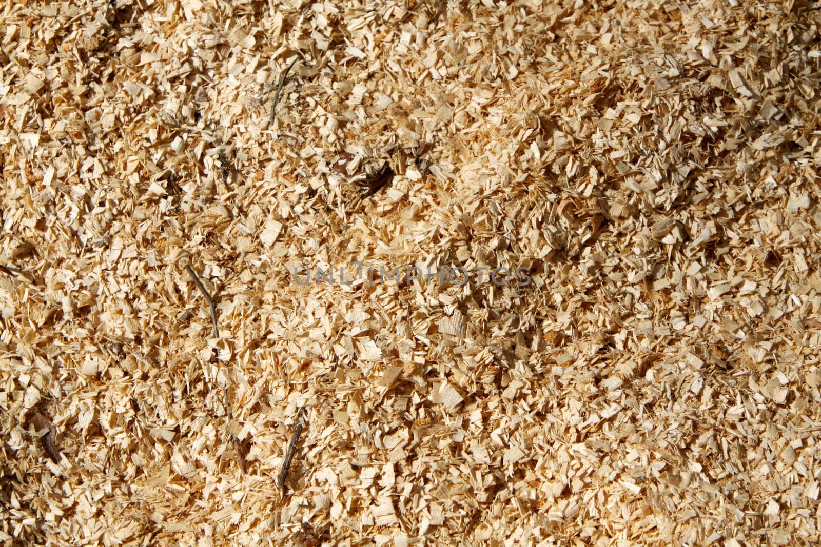 Sawdust