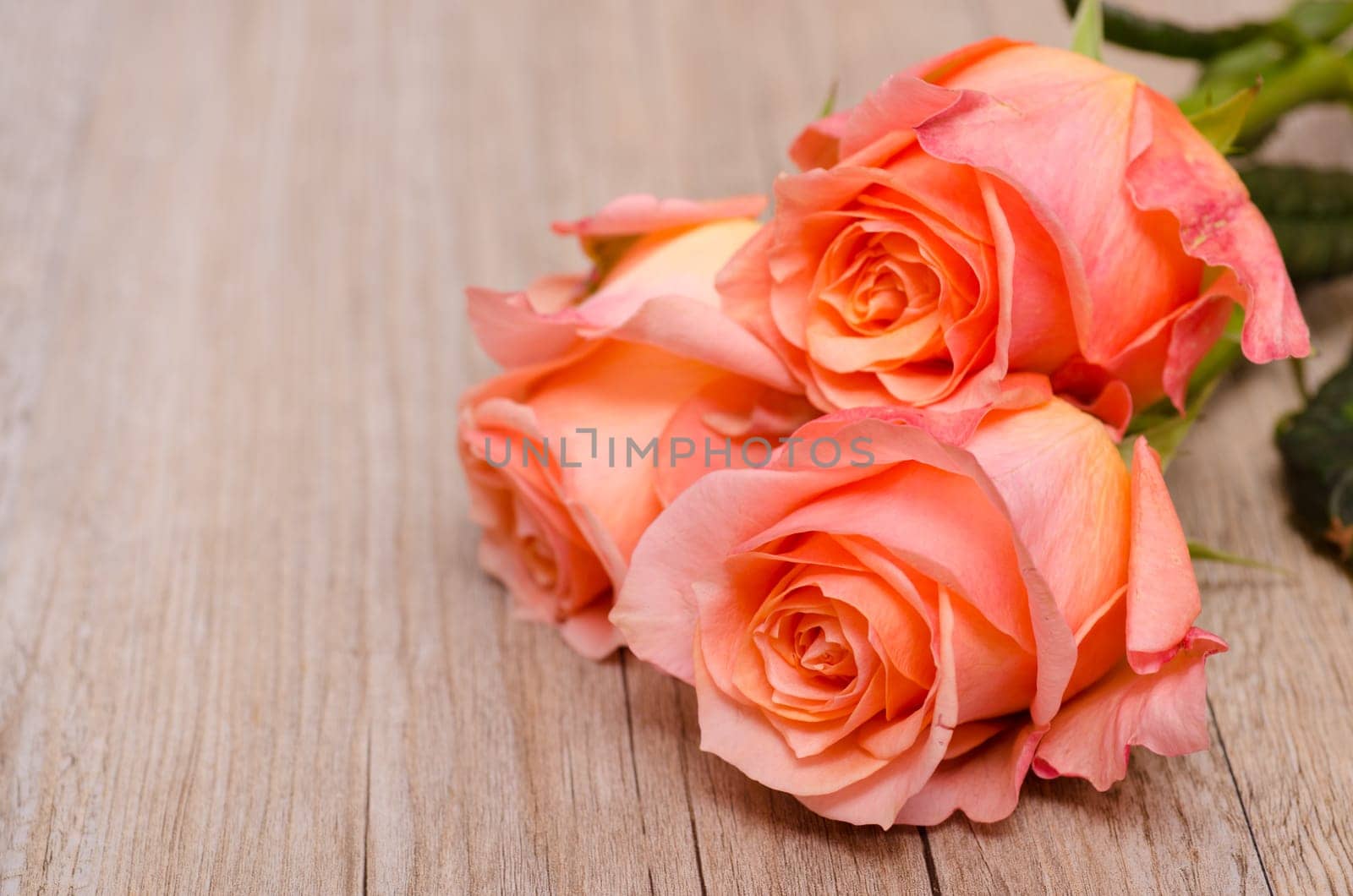 Three orange roses on old wood