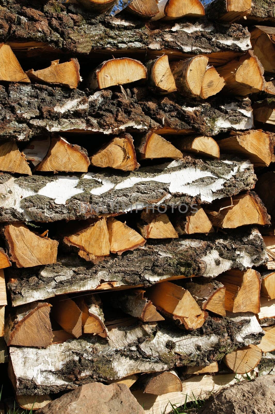 Wood pile