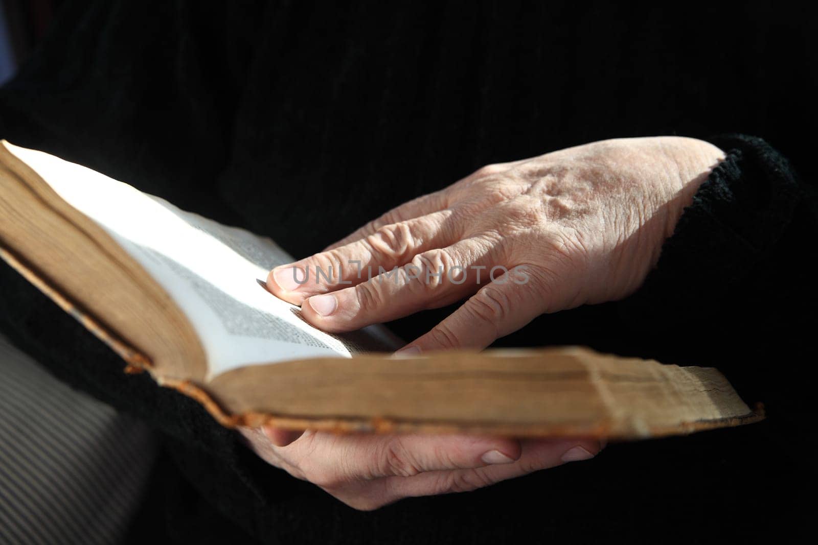 older man reading a book by a sunny window