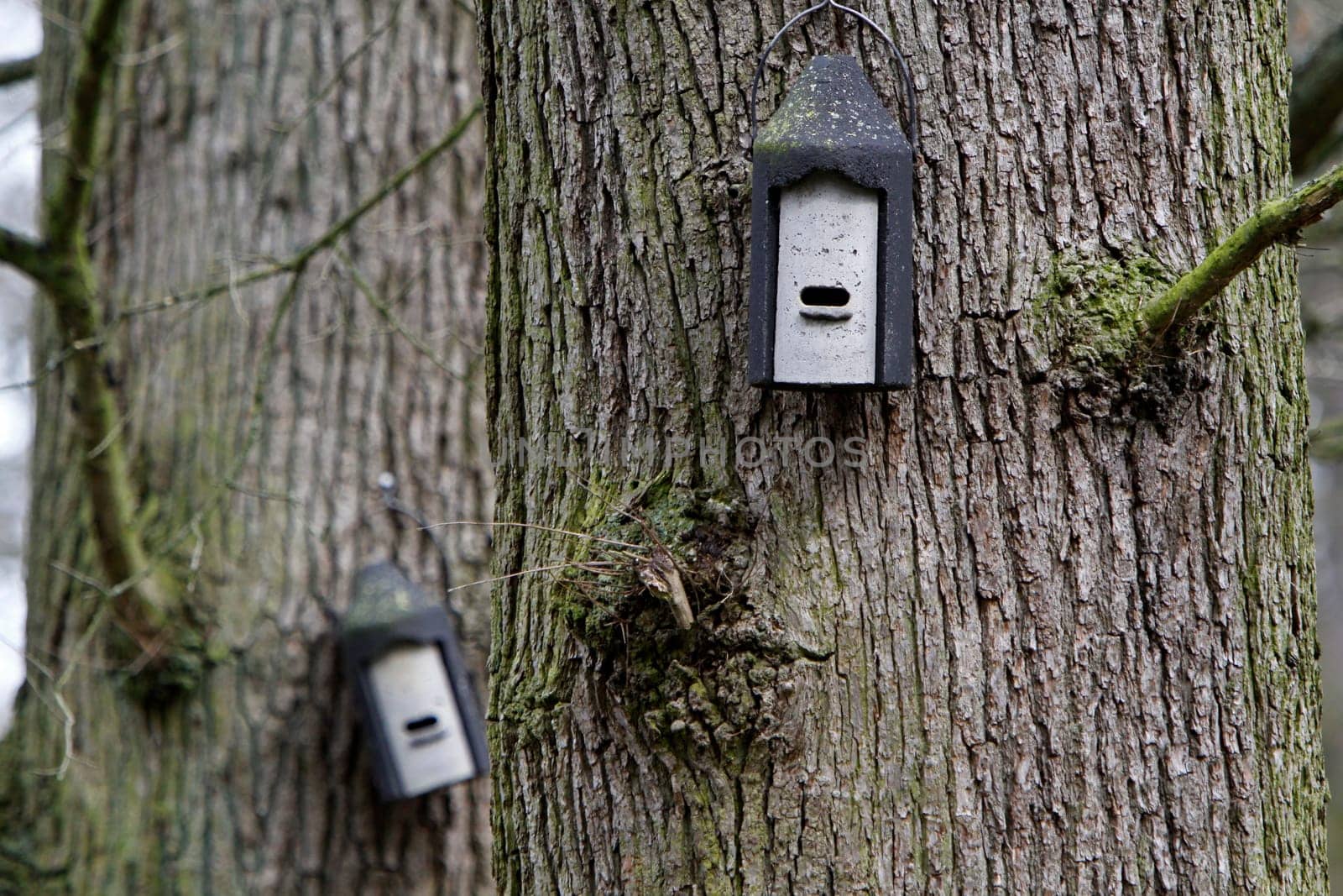 Bat box