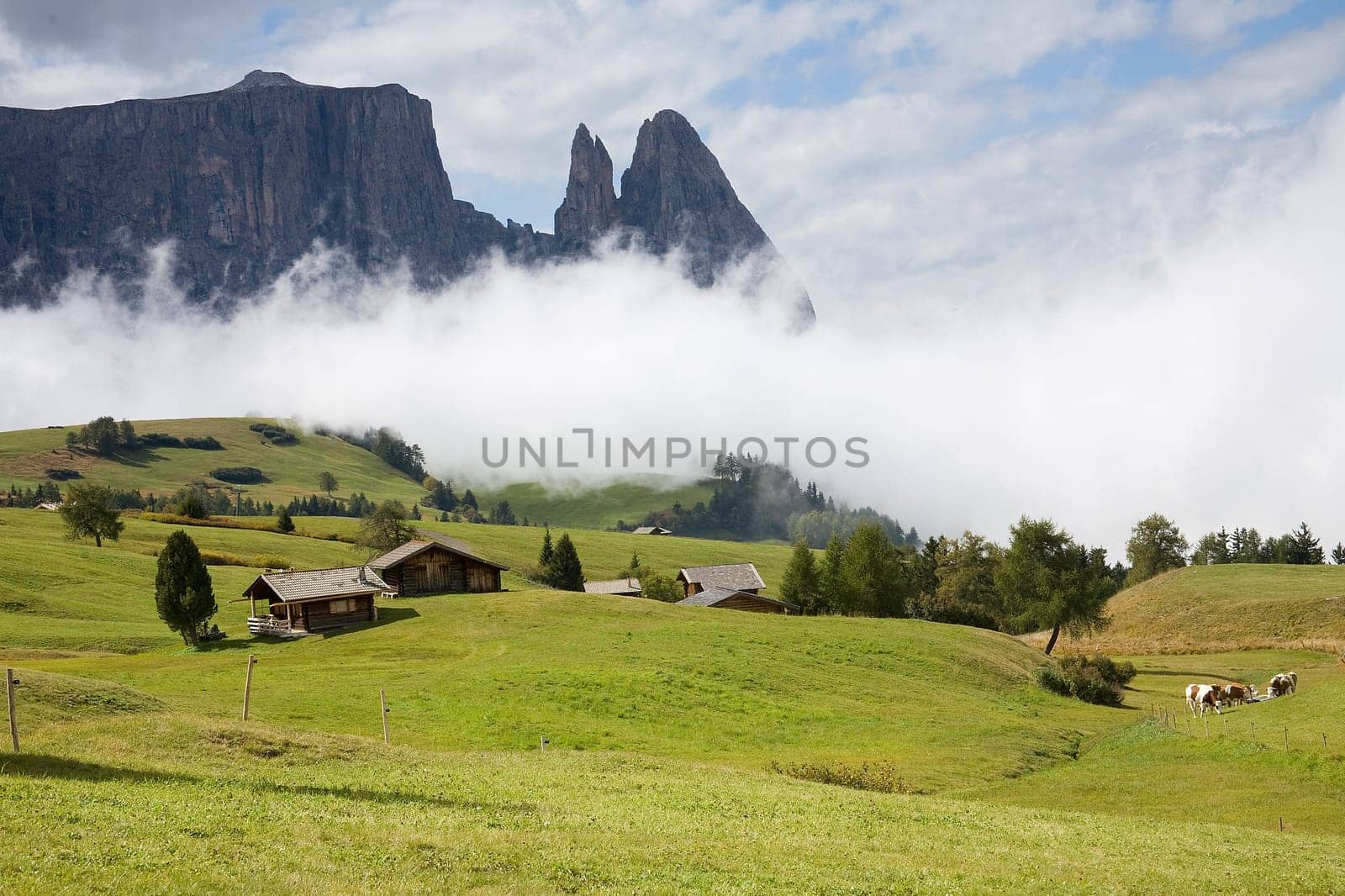 South tyrol