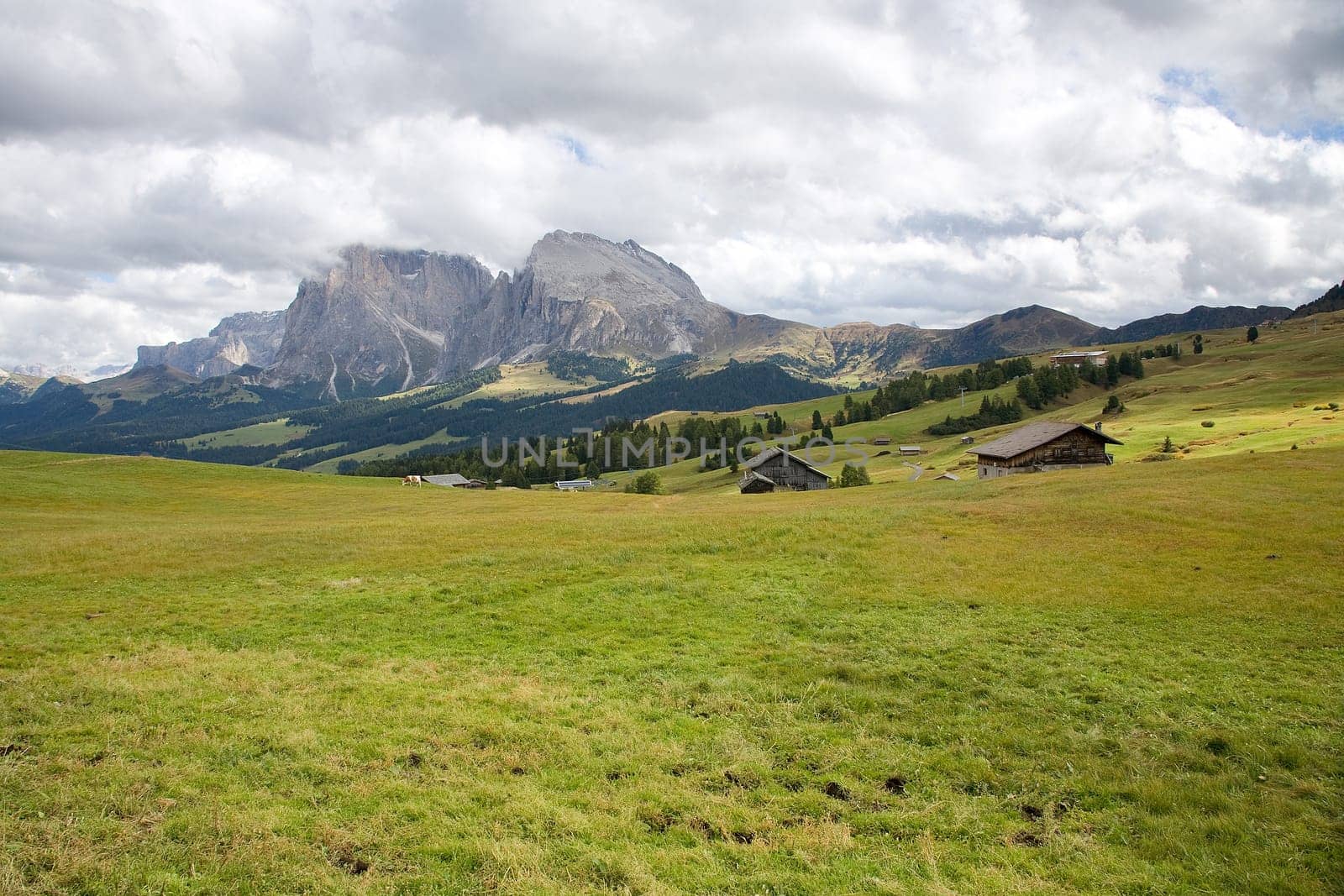 Sasso Piatto