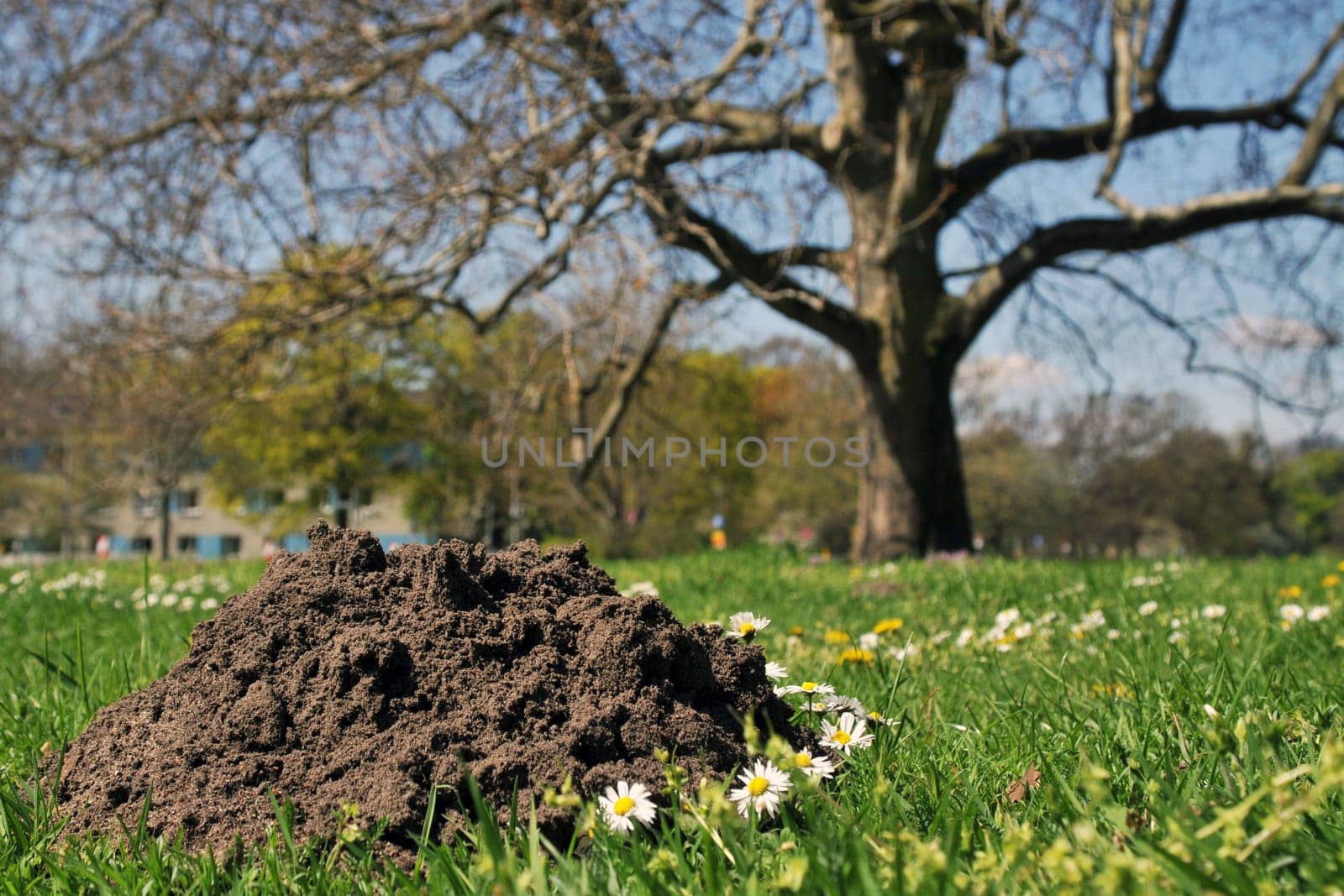 Earthwork