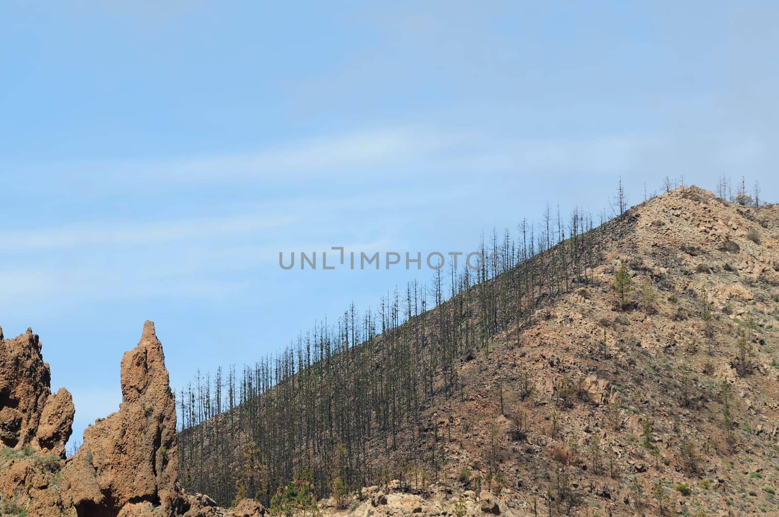 Tenerife