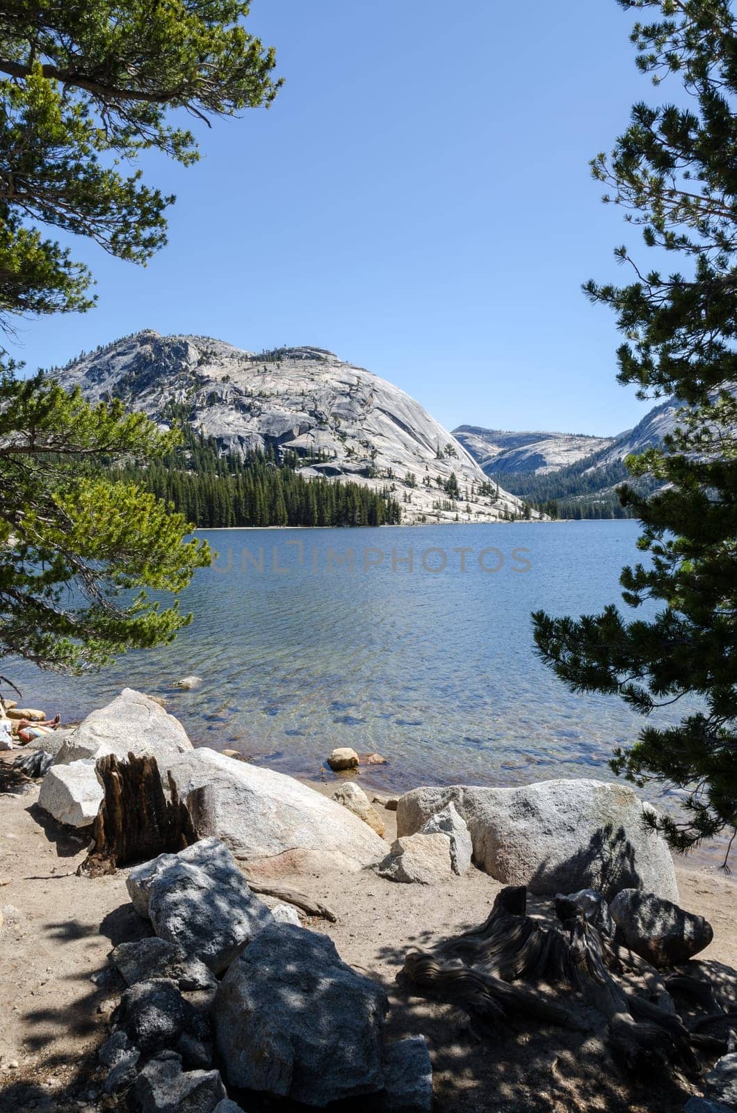 Tenaya lake on Tioga pass  in Yosemite National Park