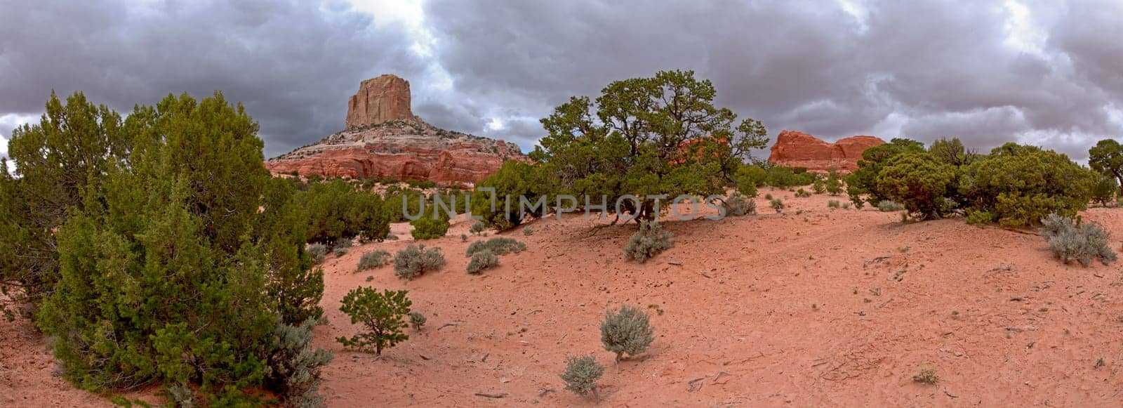 White Mesa