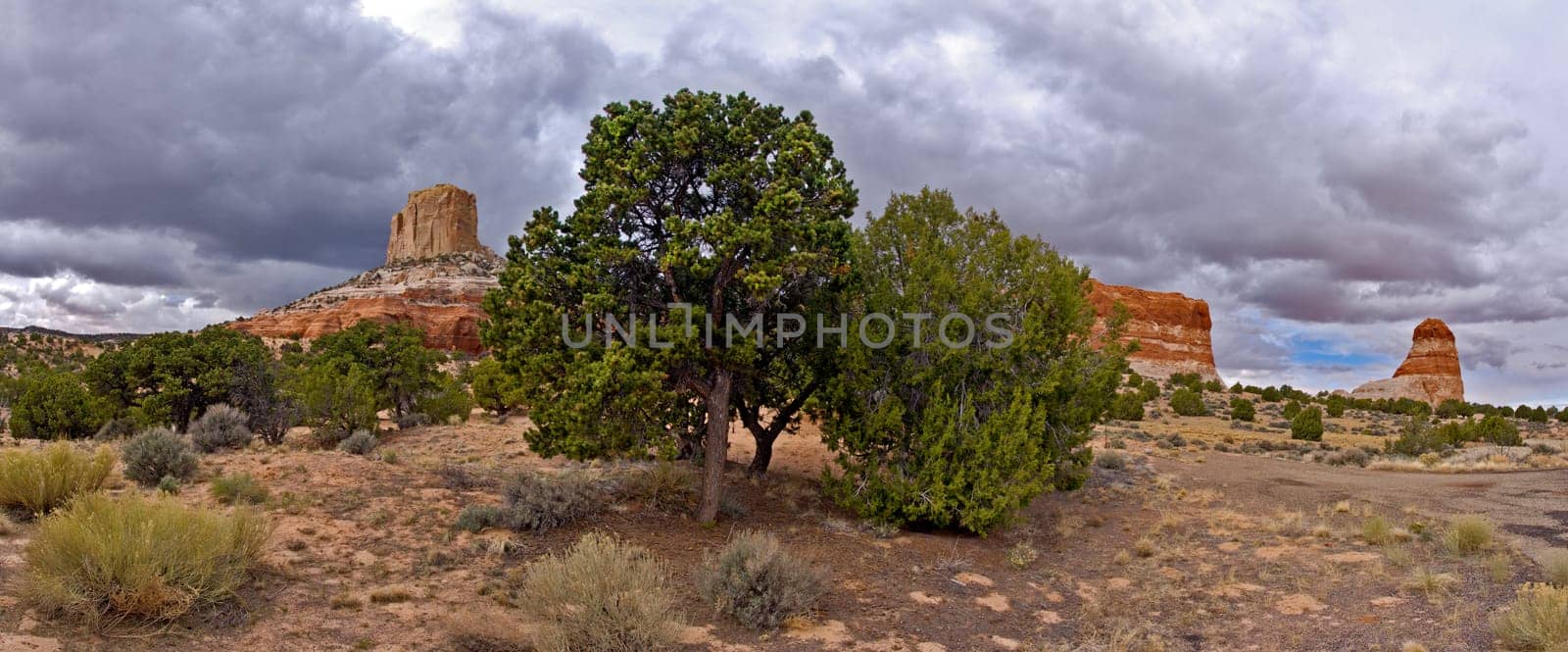 White Mesa