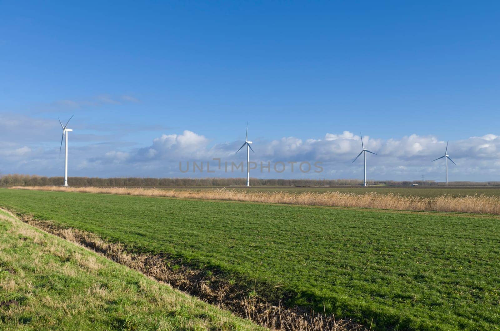 row of windmills in an agricultural landscape in the netherlands