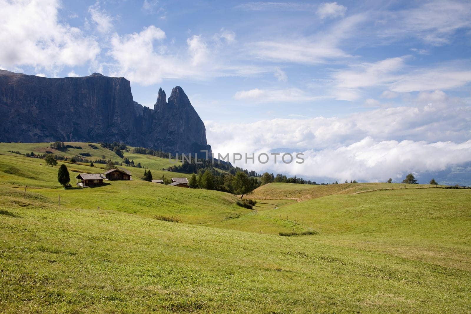 Alpe di Siusi