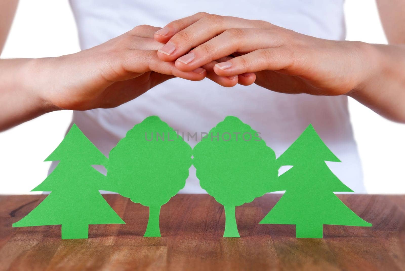 a paper chain symbolizing a person who protects the wood, isolated
