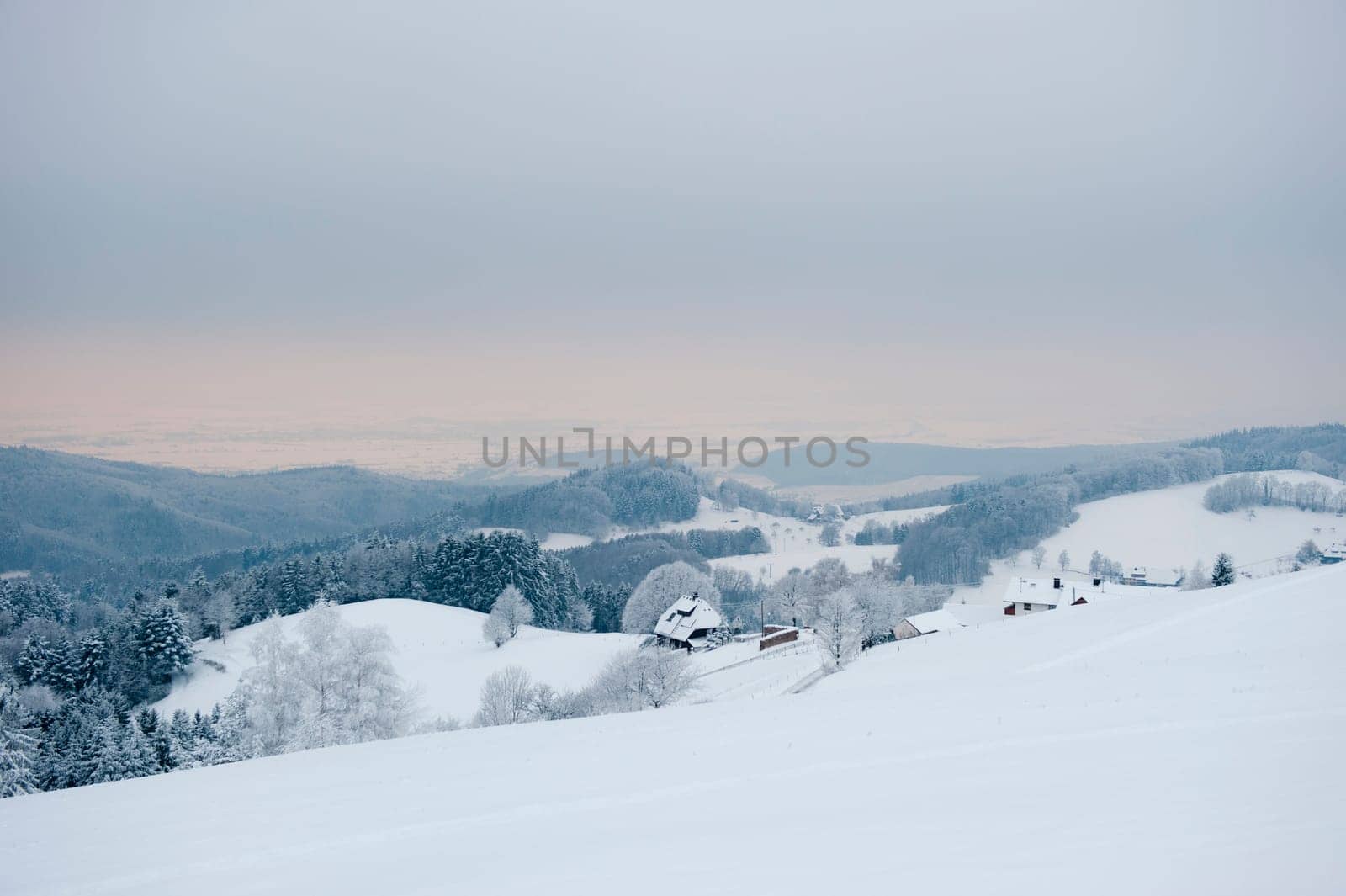 Winter wonderland