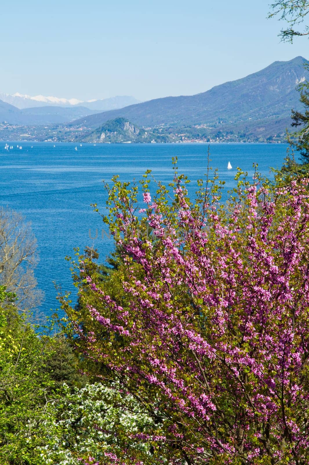 view of Verbania landscape