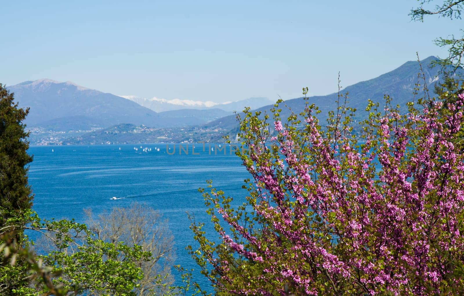 view of Verbania landscape