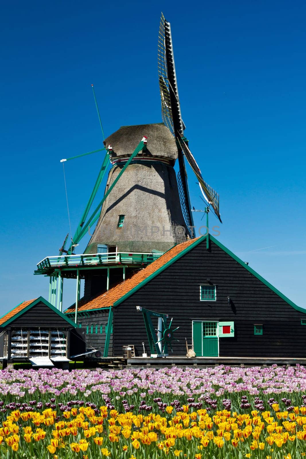 Photo of windmill in Holland with blue sky
