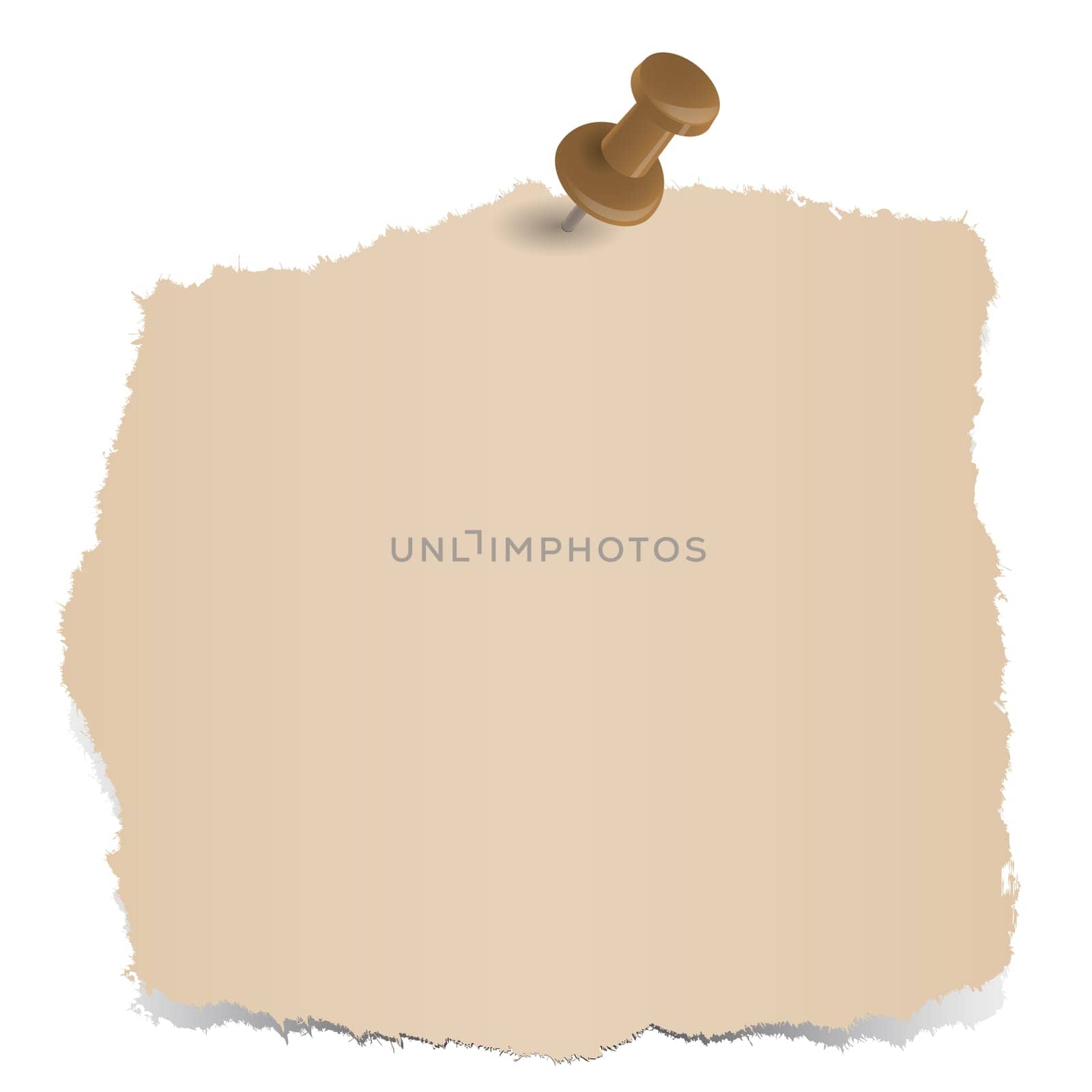 brown paper scrap with pin