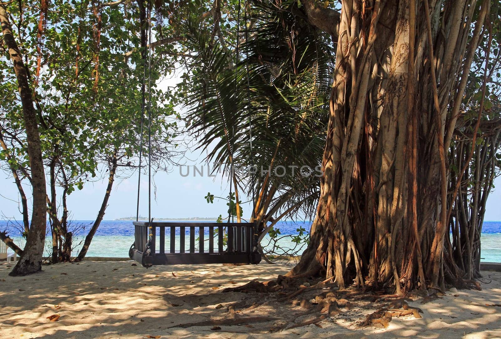 The swing on the beach