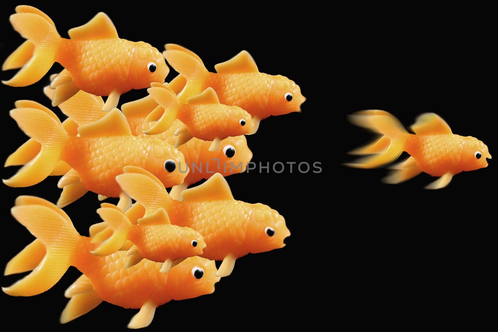 Goldfish ahead of the race on a black background
