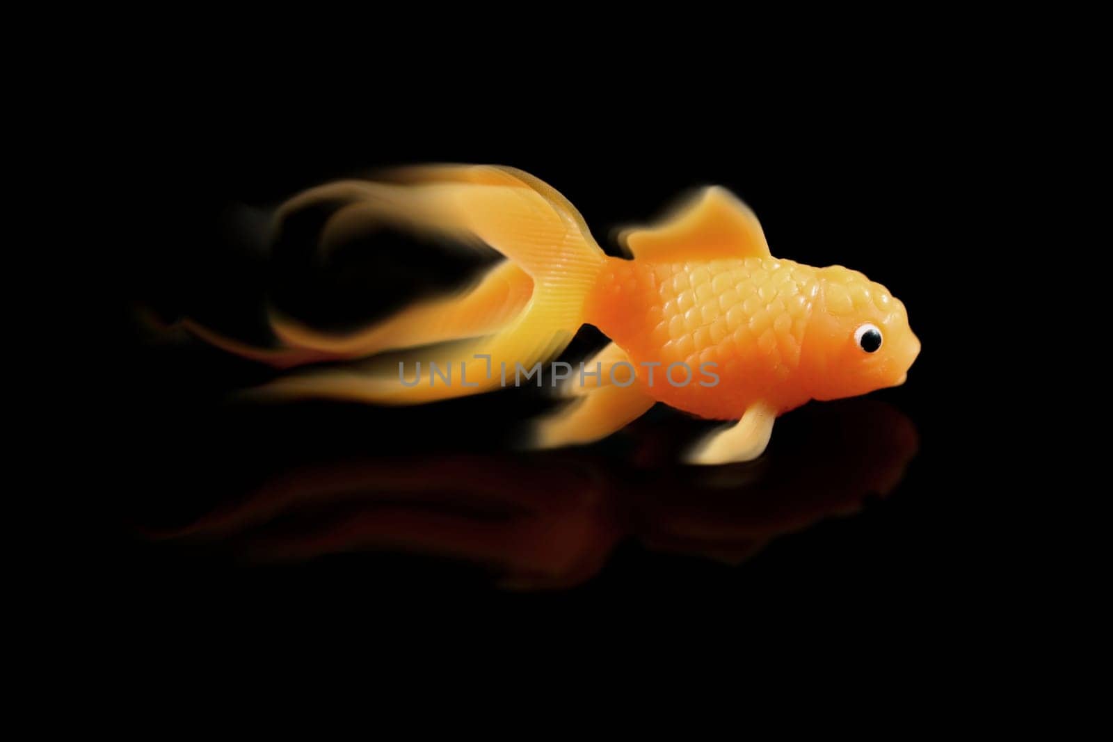 Speedy goldfish on a black background