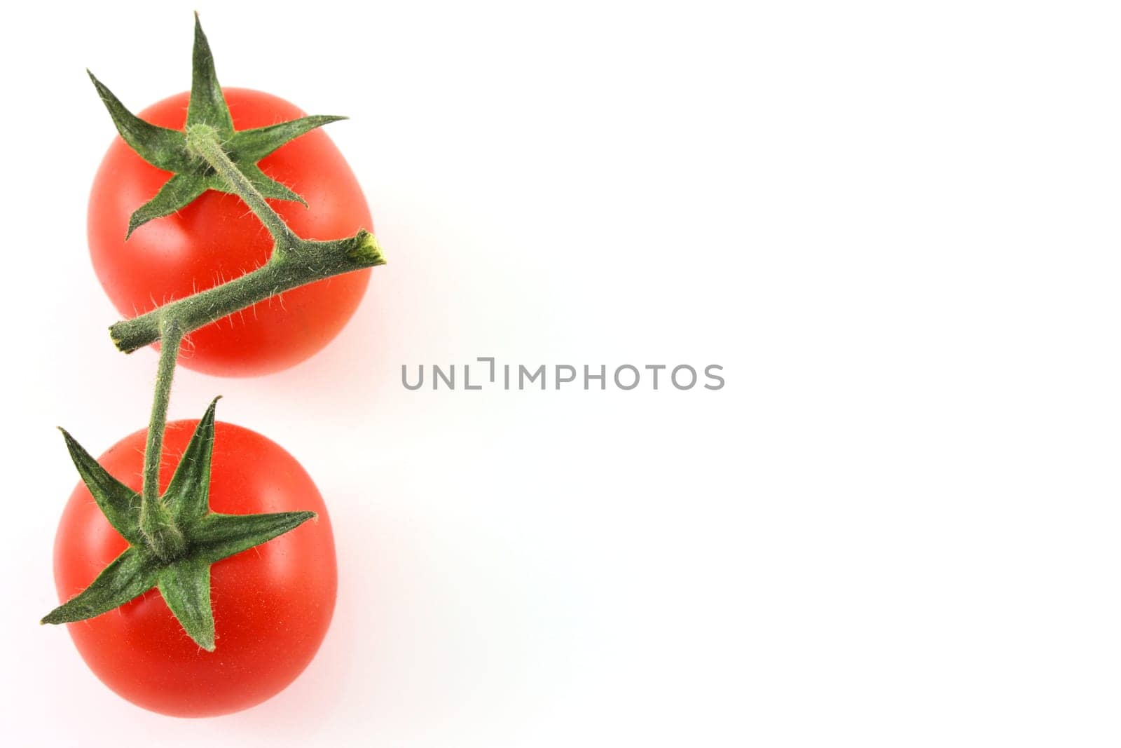 Vine tomatoes on left edge, copy space