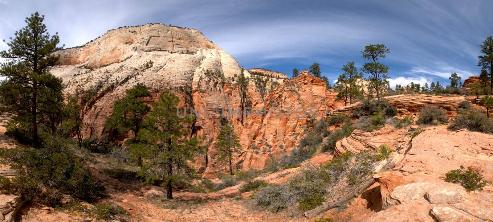 Zion National Park