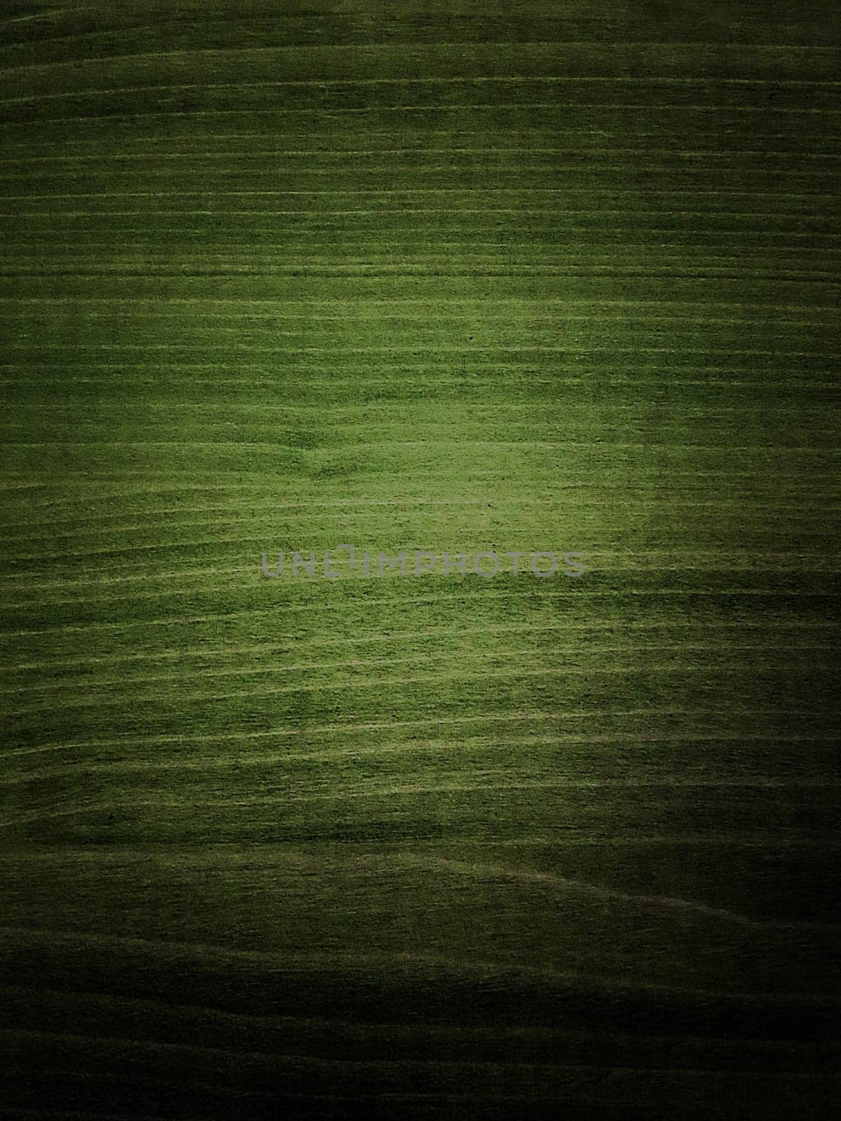 Wooden Background to use for web,print,...
