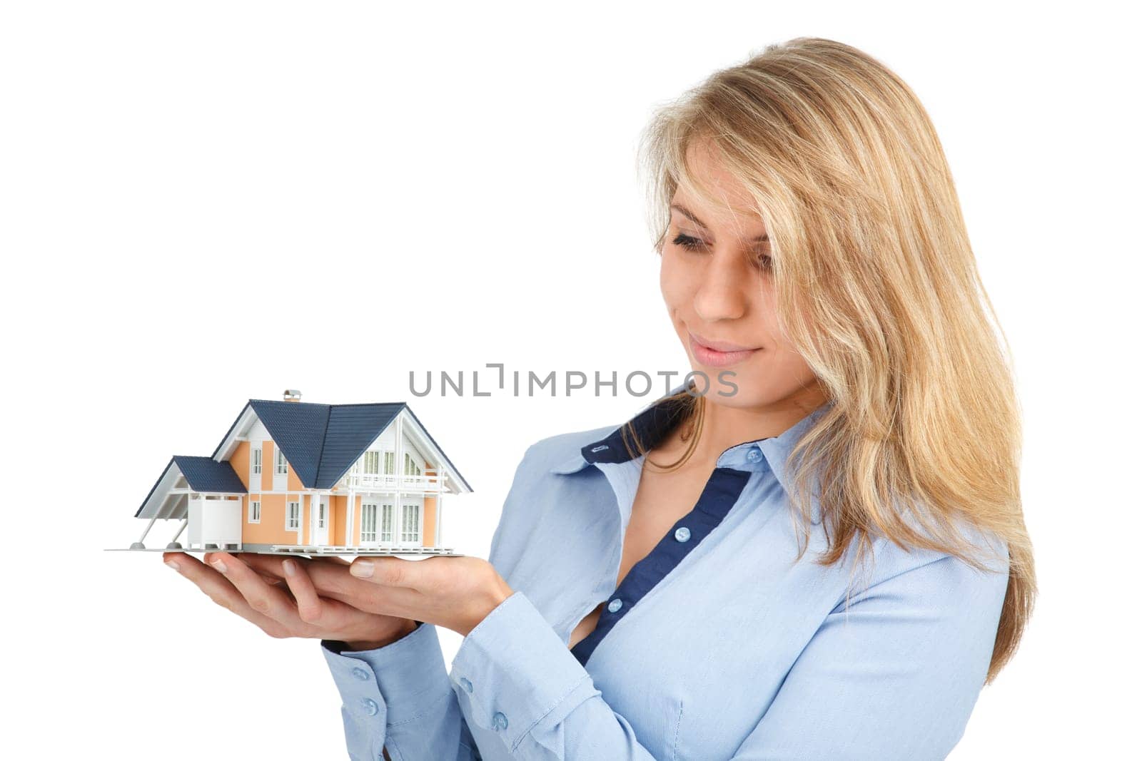 Estate agency client (architect, constructor) dream about new house