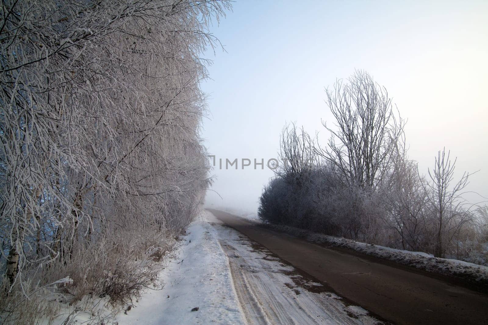 Winter landscape at sunny frozen morning