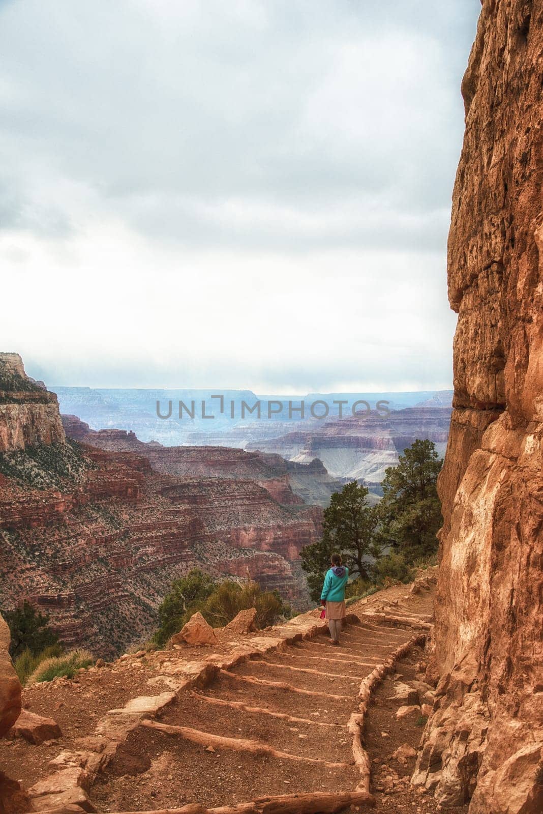 Grand Canyon Kaibab trail