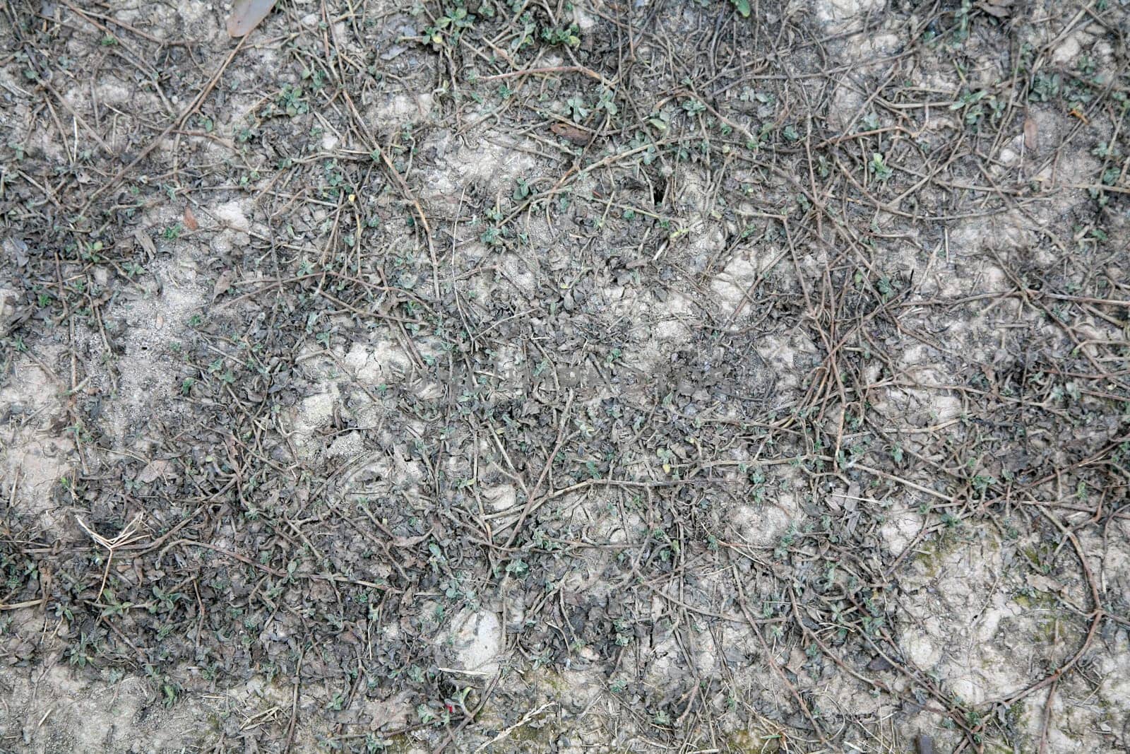 Ground cover