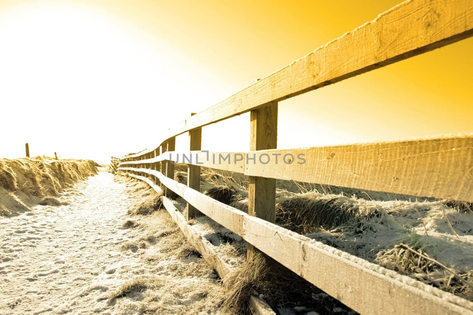 frosty winters view at ballybunion cliffside walk with bright sunset and fence