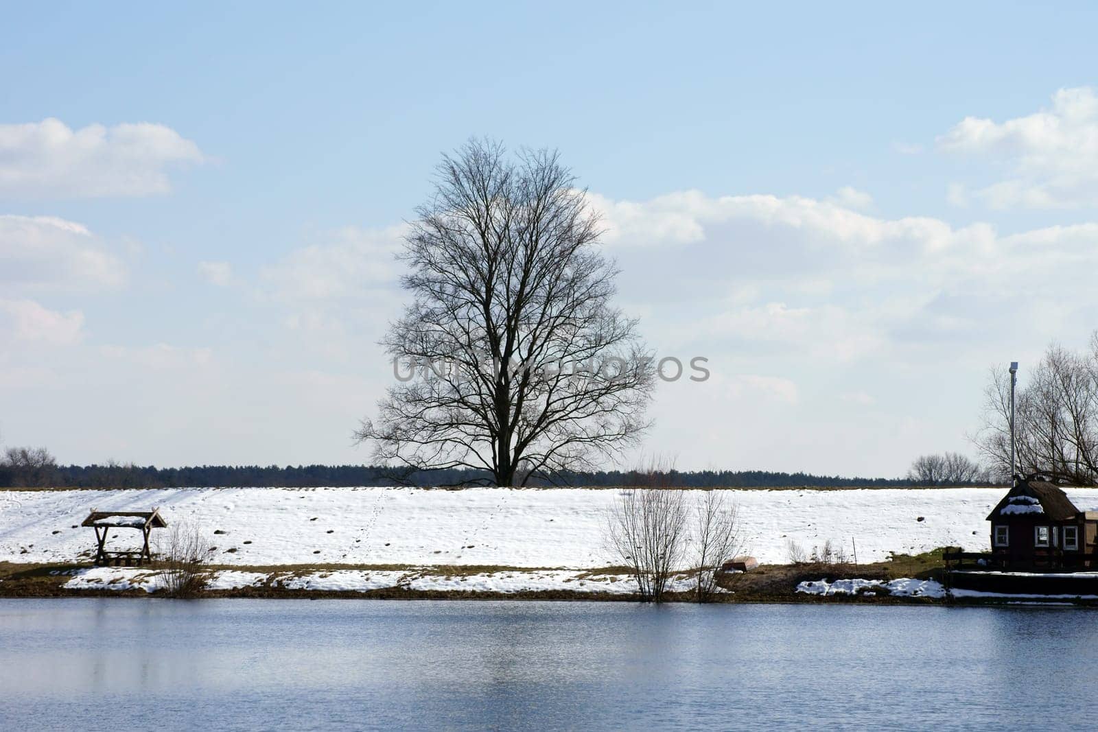 Die Fotografie eines Baumes, der im Winter auf einem Deich steht.