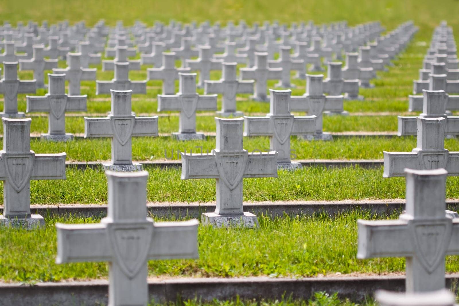 Crosses in the military cemetery in Zgorzelec, Poland